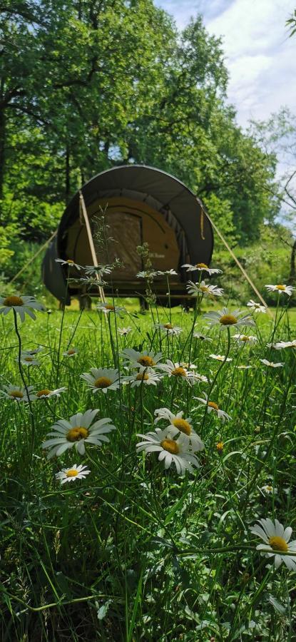 Camping De La Chagnee Saint-Aubin-le-Cloud Exterior foto